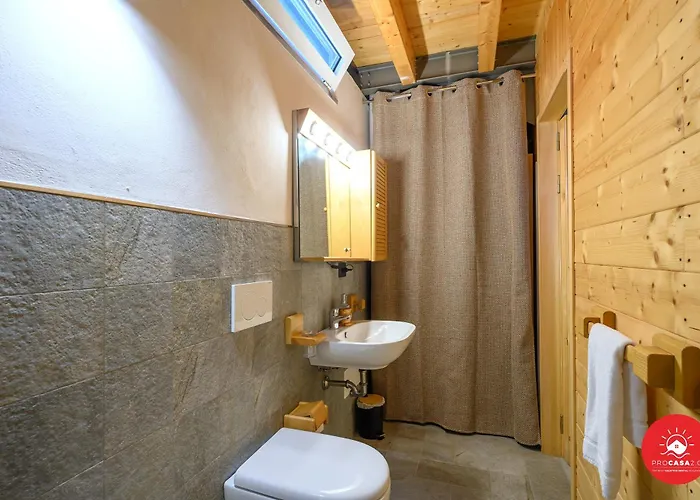 Apartment S&d Antoniana 74